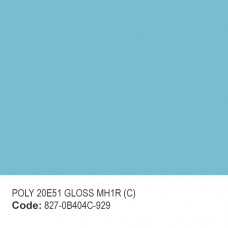 POLY 20E51 GLOSS MH1R (C)